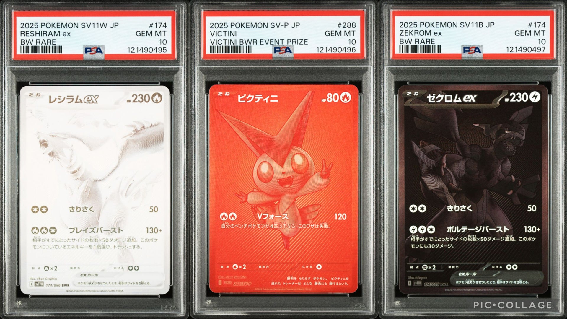 Reshiram Victini Zekrom BWR SEQ JAP PSA 10