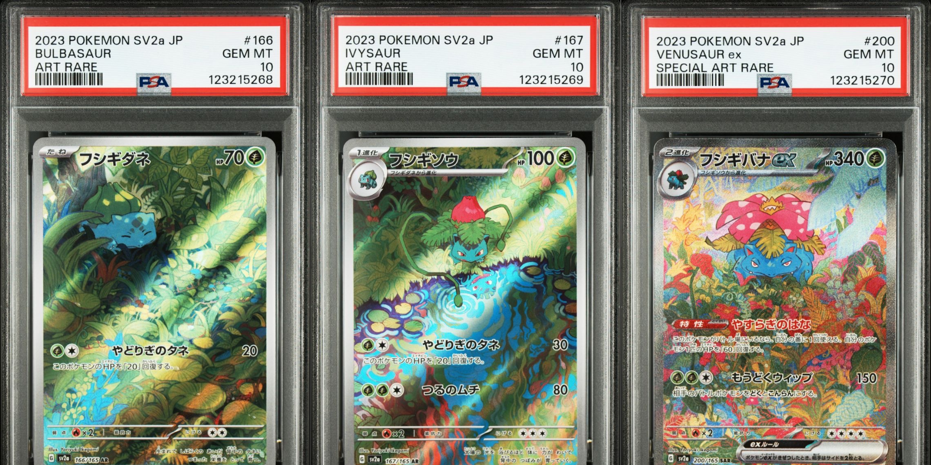 Bulbasaur Ivysaur Venusaur Sequential Set 151 JAP PSA 10
