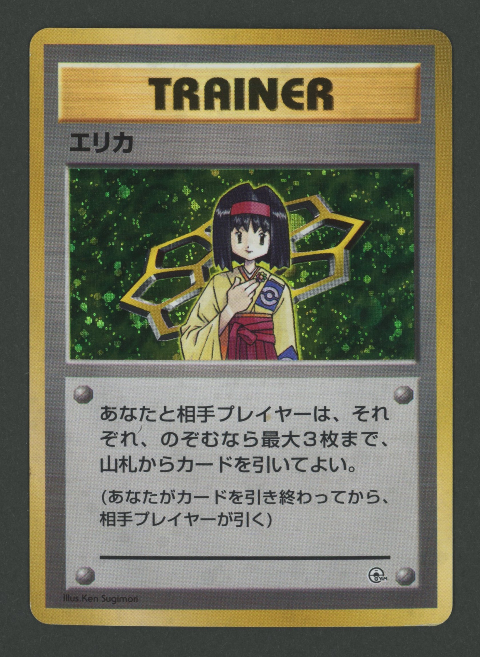 Erika Holo Tamamushi City Gym JAP D
