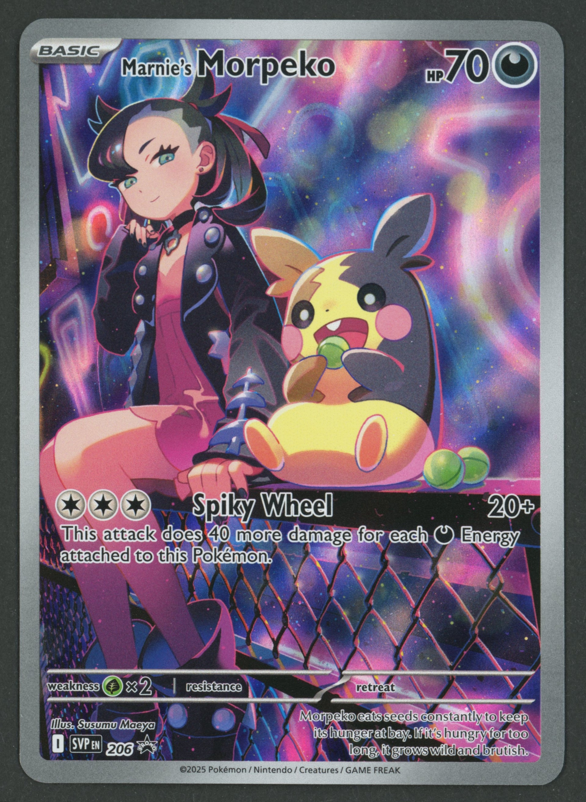Marnie's Morpeko 206 SVP EN S-