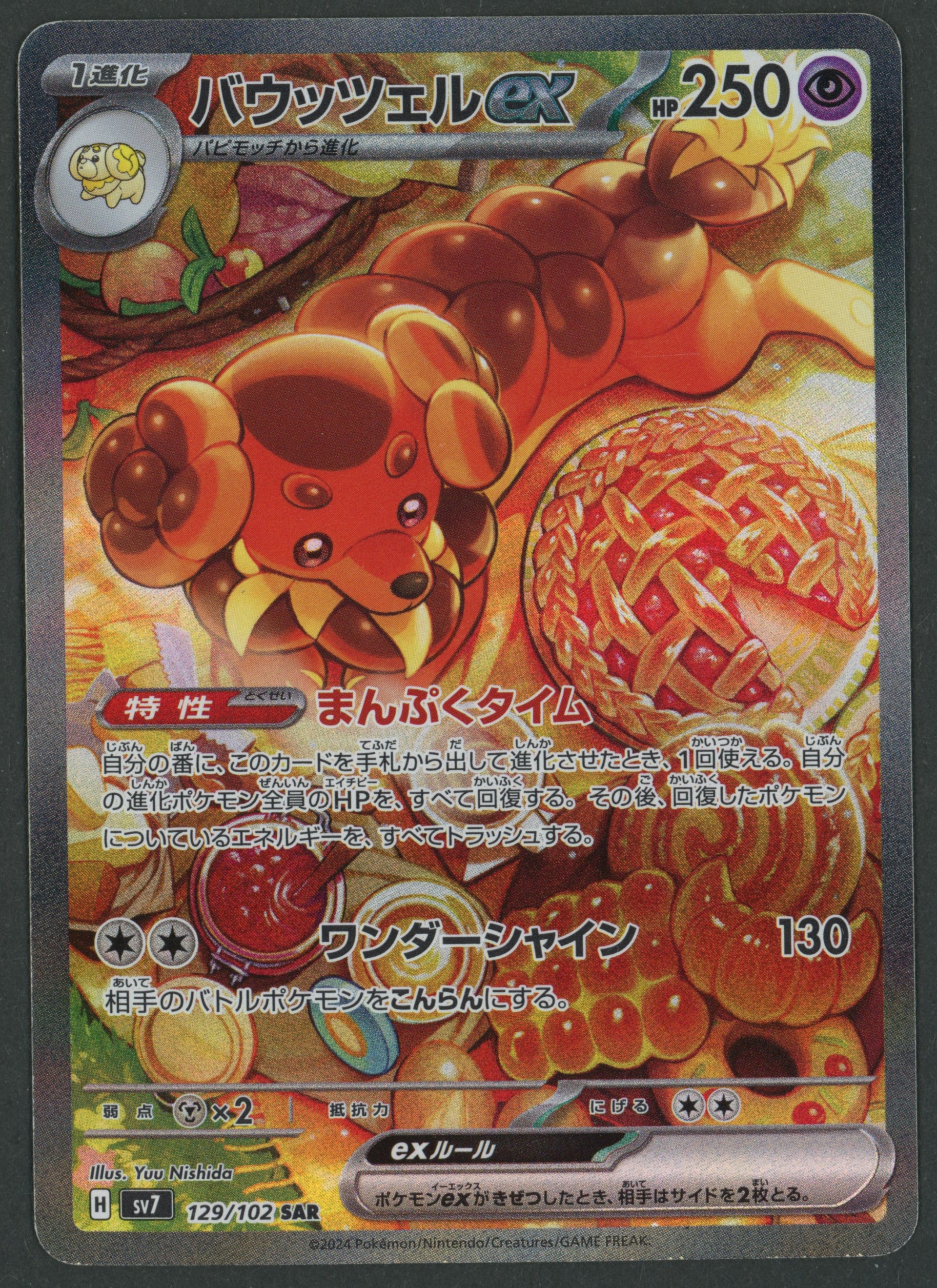 Dachsbun ex SAR 129/102 Stellar Miracle JAP S-