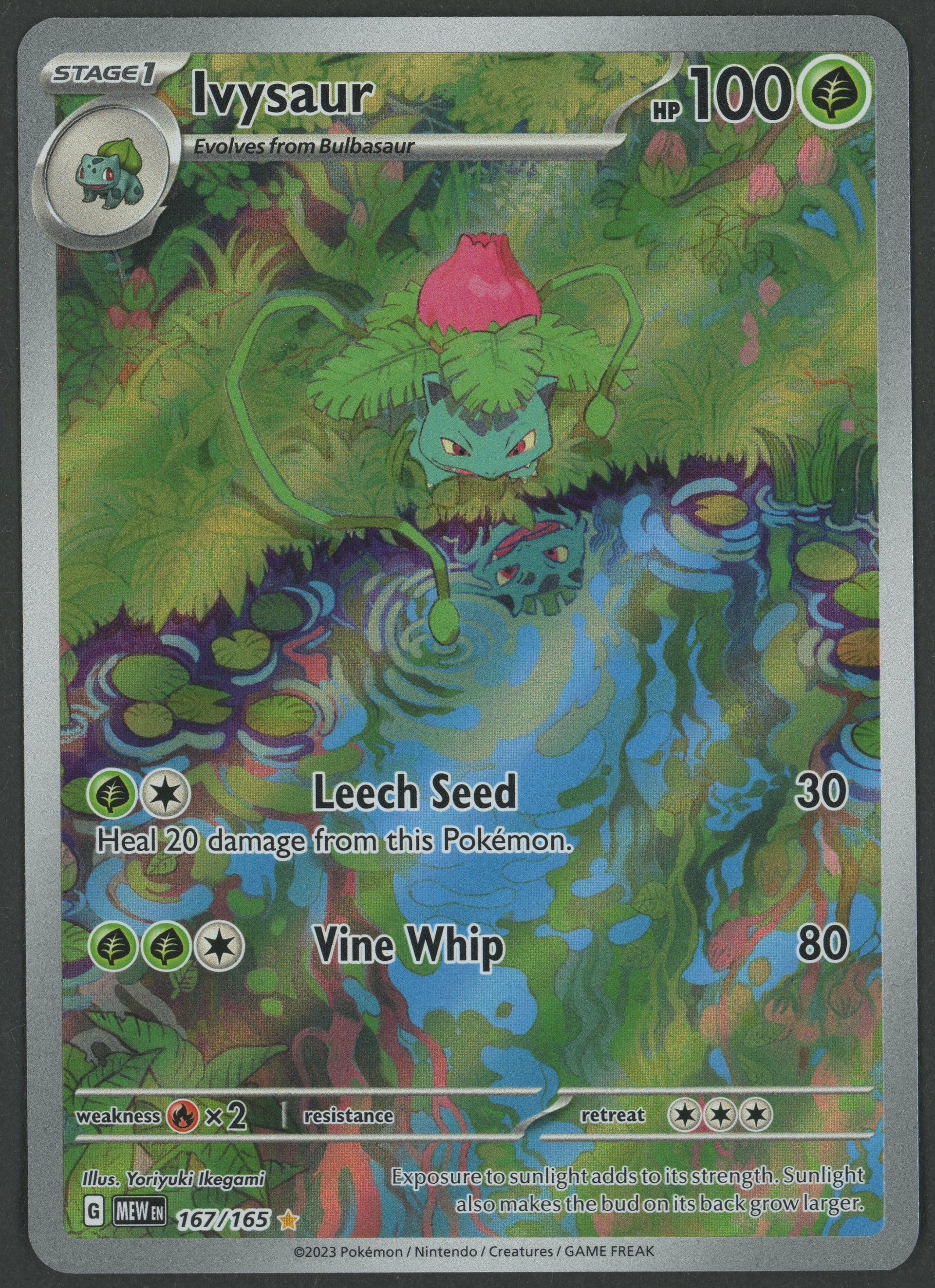 Ivysaur IR 167/165 151 EN S