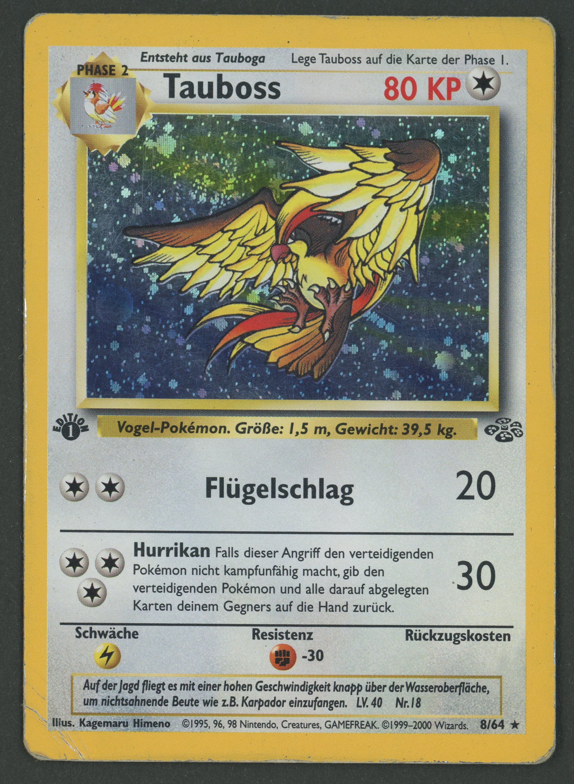 Tauboss Holo 8/64 Jungle 1.edition DE D